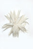 Blumen Brosche, Vanilla from ODEEH 